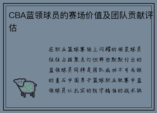 CBA蓝领球员的赛场价值及团队贡献评估